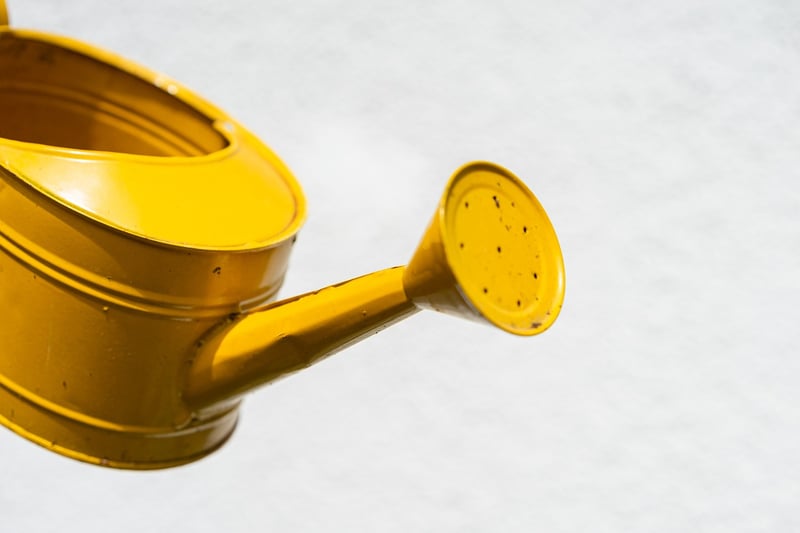 Magic Watering Cans