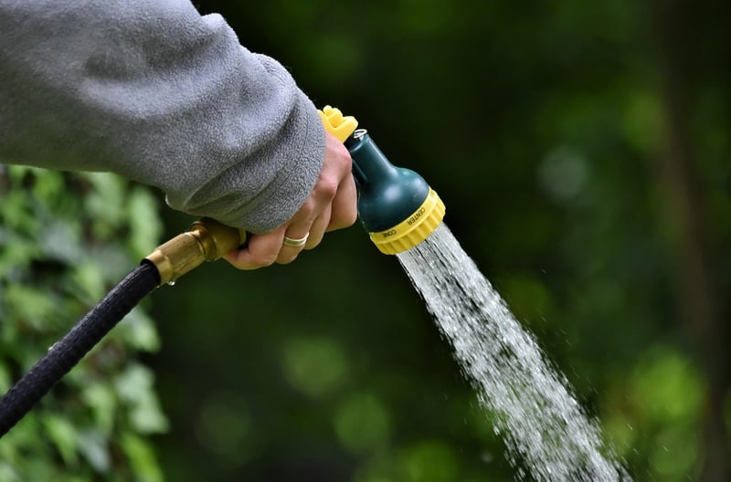 Magic Watering Can